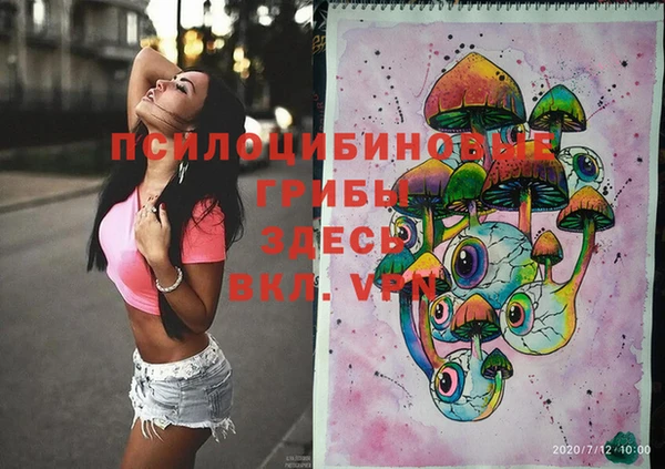 Альфа ПВП Ладушкин