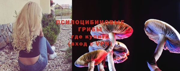 первитин Лабытнанги