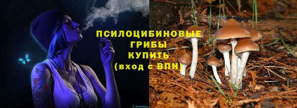 первитин Лабытнанги