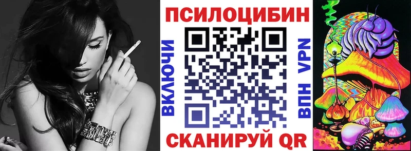 Купить где  Кинель  Галлюциногенные грибы Psilocybe 